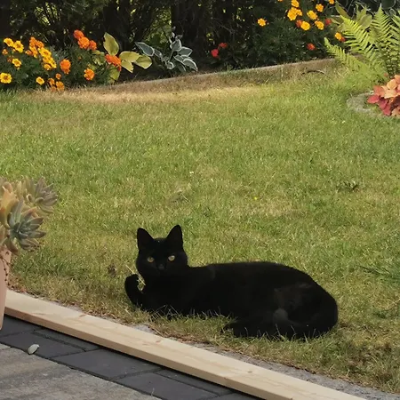 Urlaub Im Ruhrgebiet *