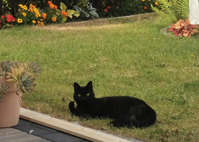 Urlaub Im Ruhrgebiet *